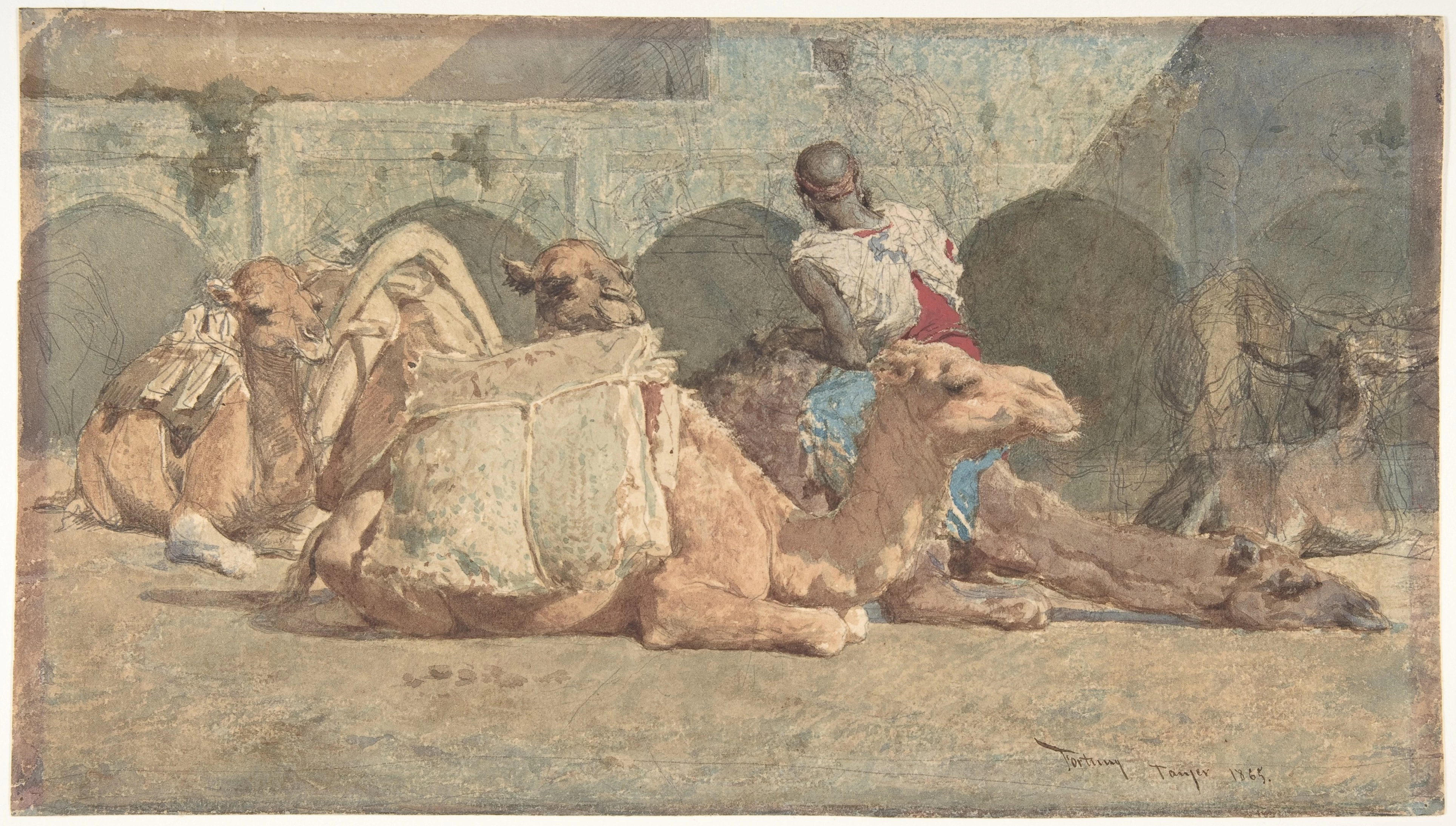 Cammelli a riposo, Tangeri - Metropolitan Museum of Art, New York